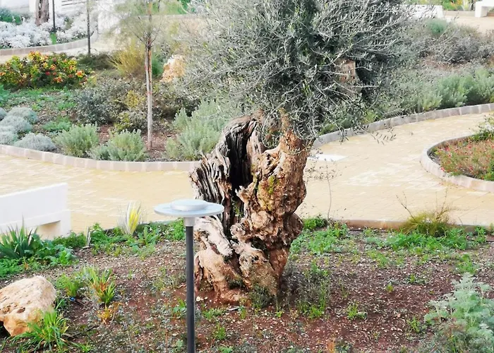 Costasud Rita's House アパート *